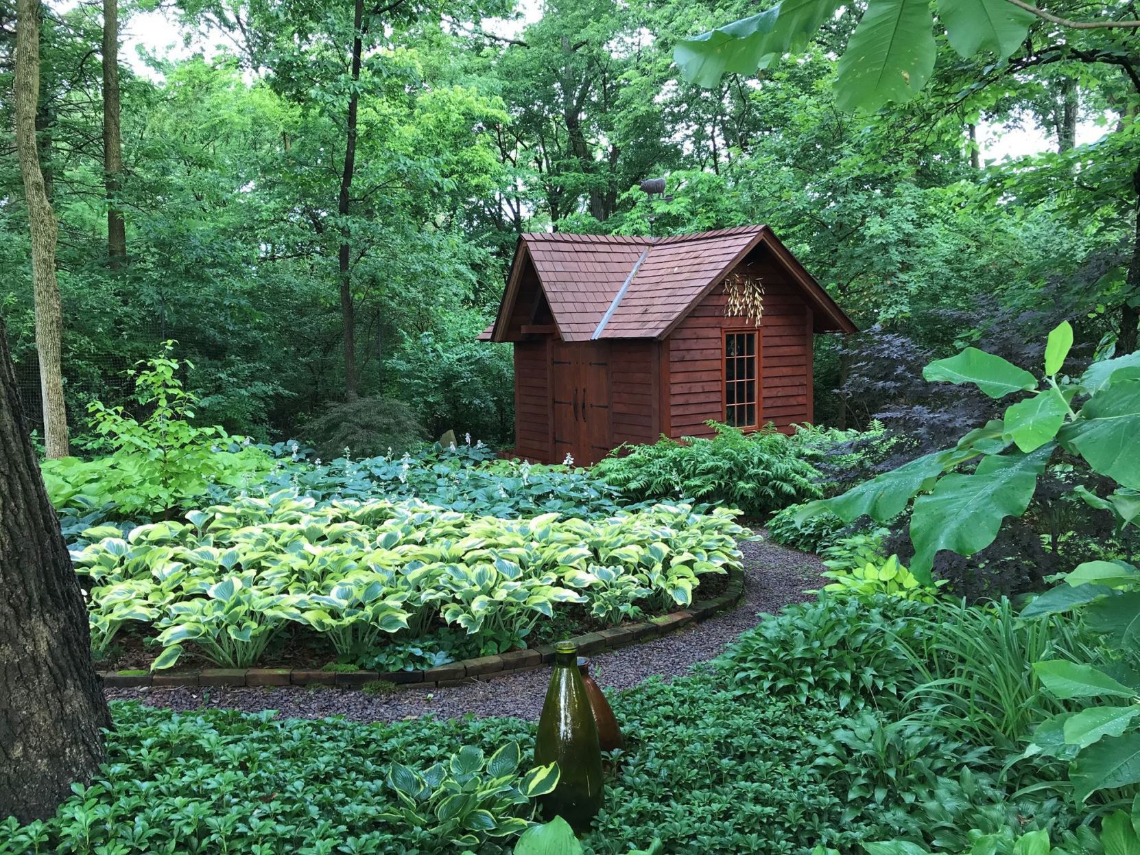 Woodland Shade Garden